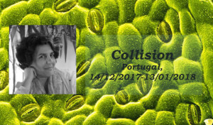Dr. Dalila Honorato member of the Interactive Arts Laboratory at the exhibition Collision in Portugal [December 14th, 2017-13 January 2018]