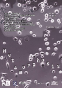 Dalila Honorato, Prof. AV Arts Dept. participates in the  the group exhibition "Metamorphosis", 11.10 - 08.12.2024, Portugal