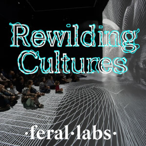 Το InArts Lab και το Rewilding Cultures στην εναρκτήρια εκδήλωση του Europe Direct Ιονίων Νήσων – Δίκτυο ΠΡΑΞΗ
